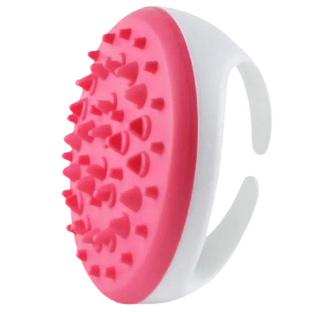 Aerixis Body brush